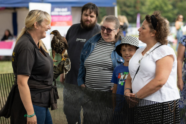 Hawkwise Falconry